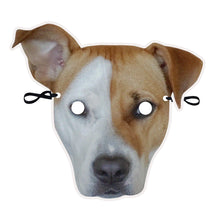 Load image into Gallery viewer, Personalized Party Photo Face Mask Graduation Party Bachelor Party Face Mask