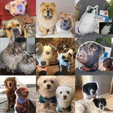 Load image into Gallery viewer, Custom Dog Head Pillow Custom Cat Photo Pillow Personalized Pet Head Body Pillow