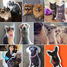 Load image into Gallery viewer, Custom Dog Head Pillow Custom Cat Photo Pillow Personalized Pet Head Body Pillow