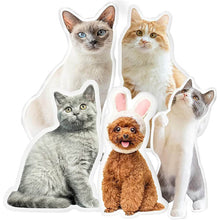 Load image into Gallery viewer, Custom Dog Head Pillow Custom Cat Photo Pillow Personalized Pet Head Body Pillow