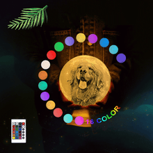 Load image into Gallery viewer, Custom Moon Lamp With Picture 16 Colors 2 Colors Christmas Gift Idea